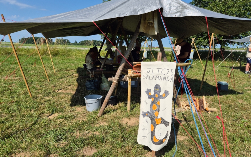 RRÖ Newsletter Dezember 2025