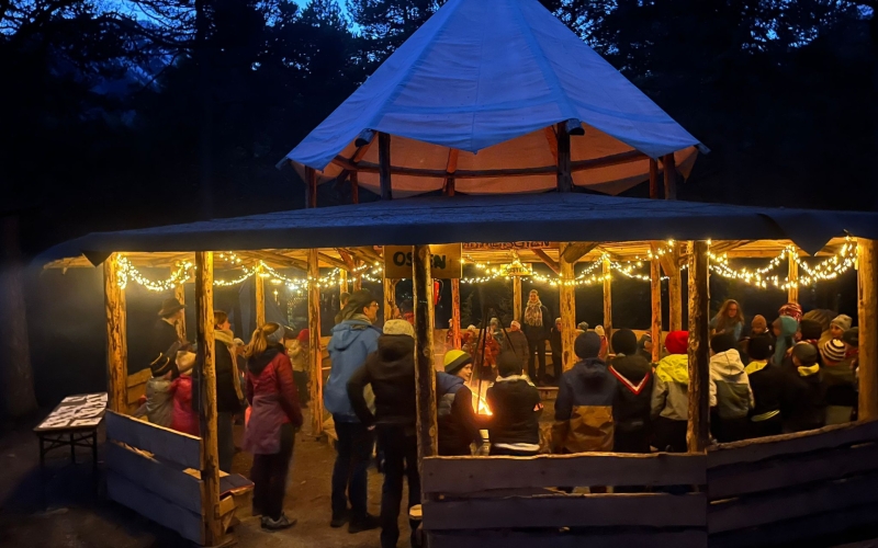 RRÖ Newsletter Februar 2026